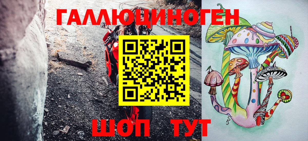 Галлюциногенные грибы Cubensis Сокол
