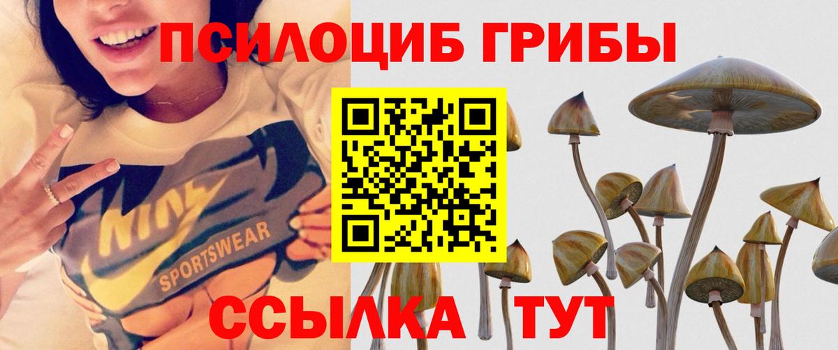 Сокол  Псилоцибиновые грибы MAGIC MUSHROOMS  наркотики  Псилоцибиновые грибы мицелий  Вход с VPN 